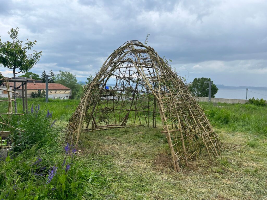 Hutte en saule